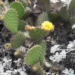 Meet your Posher, Juana